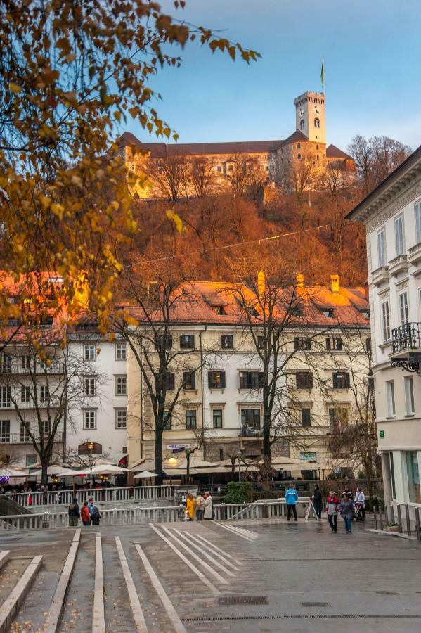 Sunny * Ljubljana