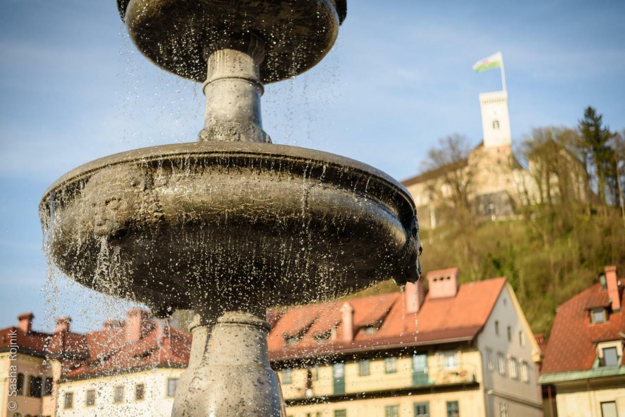Sunny Ljubljana
